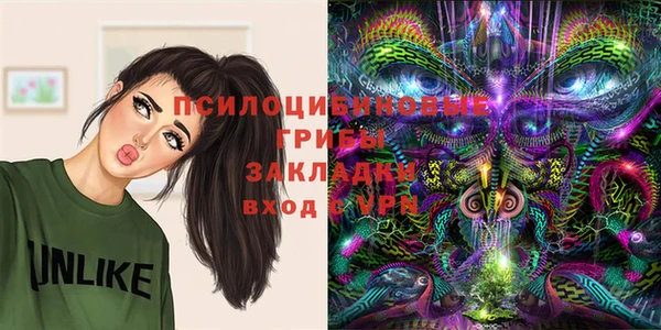 твердый Кинешма