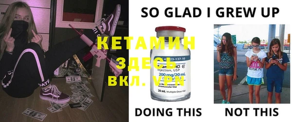индика Щигры
