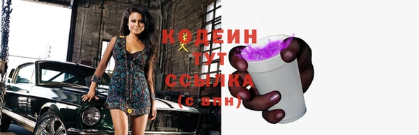 индика Щигры